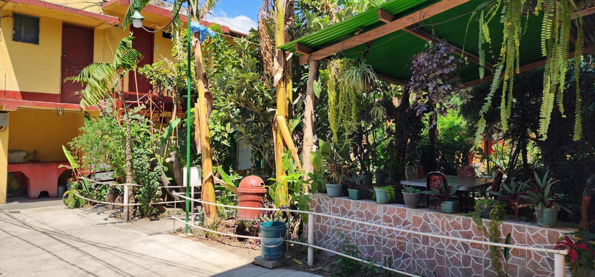 Hospedaje Santo Domingo 帕纳哈切尔 外观 照片