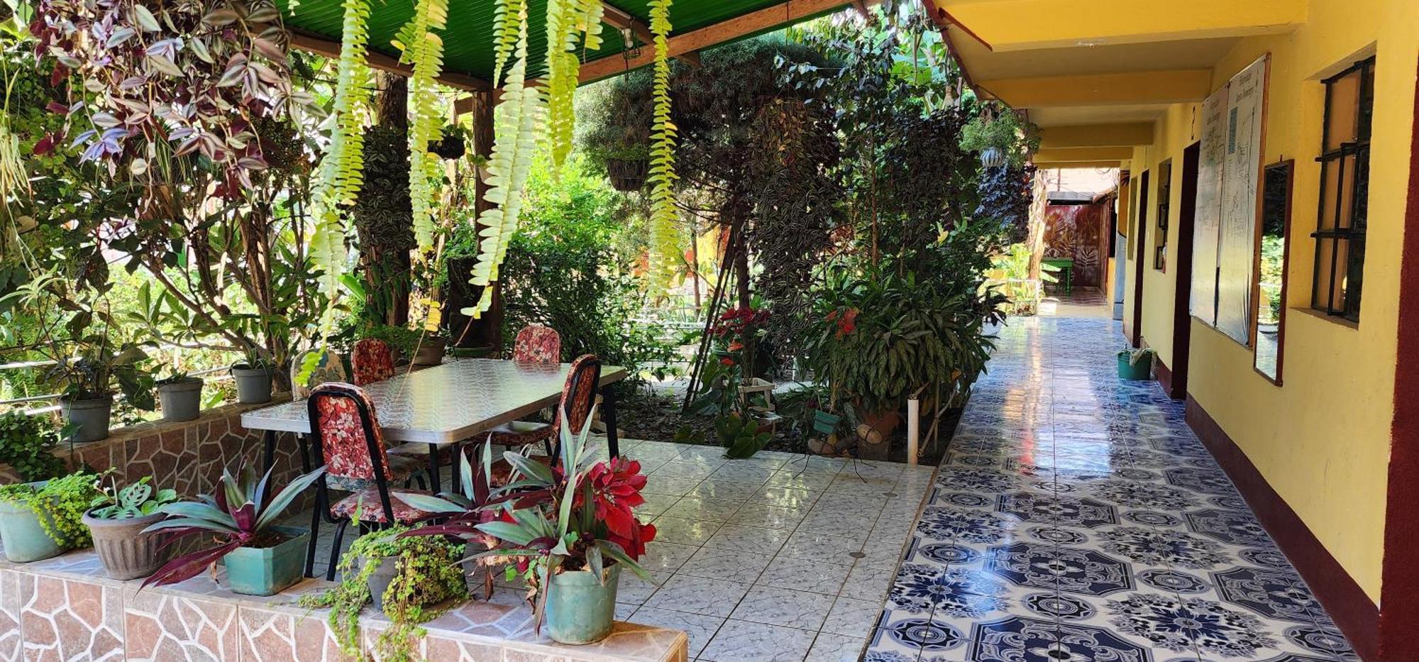 Hospedaje Santo Domingo 帕纳哈切尔 外观 照片