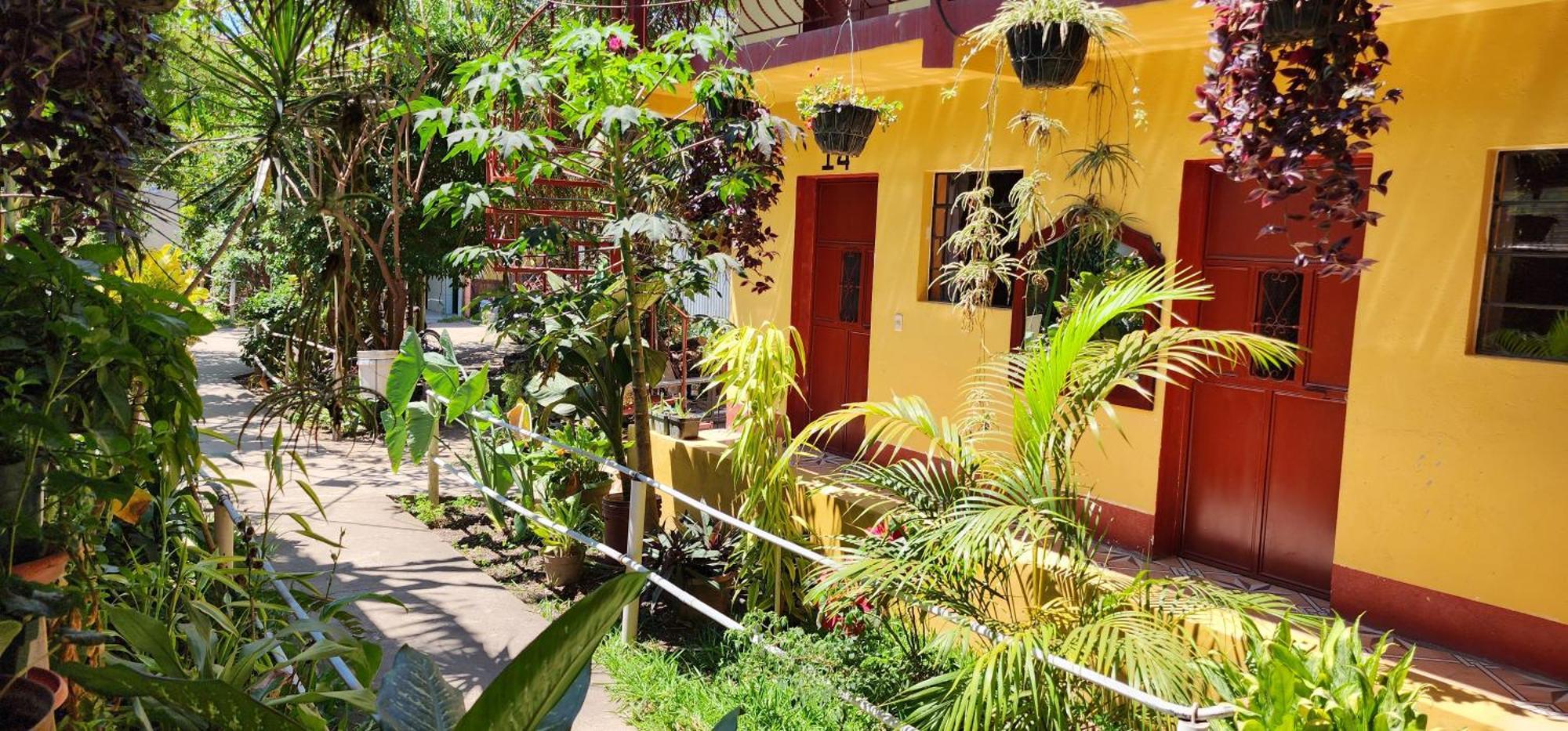 Hospedaje Santo Domingo 帕纳哈切尔 外观 照片