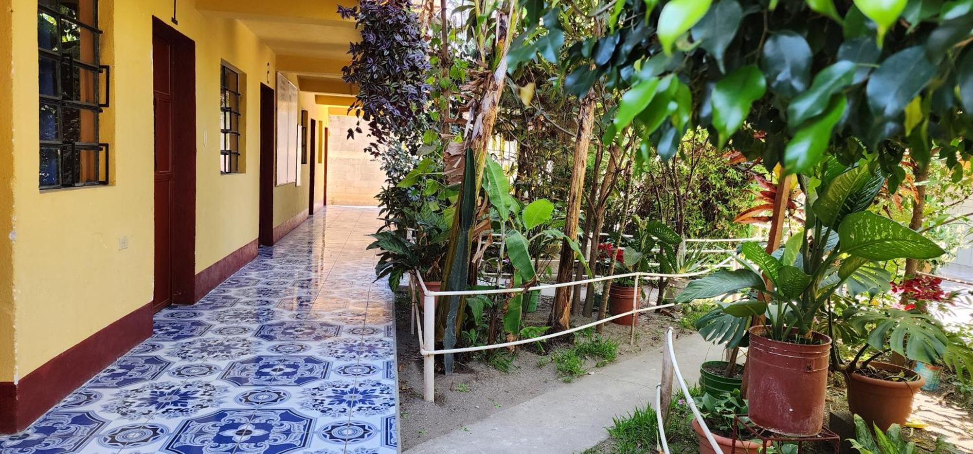 Hospedaje Santo Domingo 帕纳哈切尔 外观 照片
